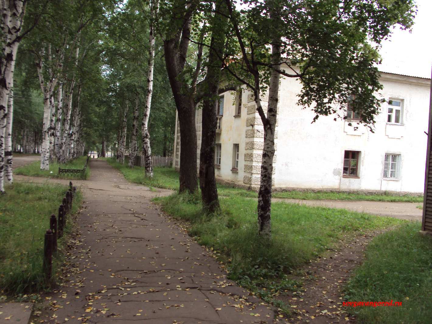 Парк зеленый мыс Советская гавань